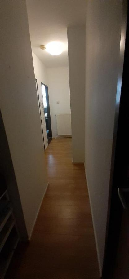 Charlotte, Not For Parties, Not A Hotel, Room With Shared Bathroom, No Kitchen Amesterdão Exterior foto